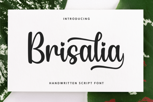 Brisalia Font: A Playful Typeface for Branding
