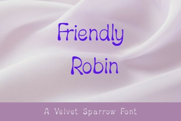 Friendly Robin: A Designer’s Honest Review
